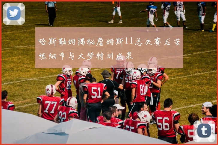 哈斯勒姆揭秘詹姆斯11总决赛后苦练细节与大梦特训成果