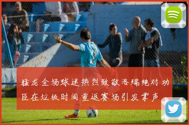 猛龙全场球迷热烈致敬洛瑞绝对功臣在垃圾时间重返赛场引发掌声