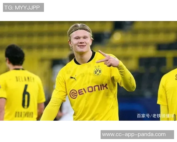 昔日多特搭档重聚哈兰德与贝林合影引发回忆老铁情谊再现