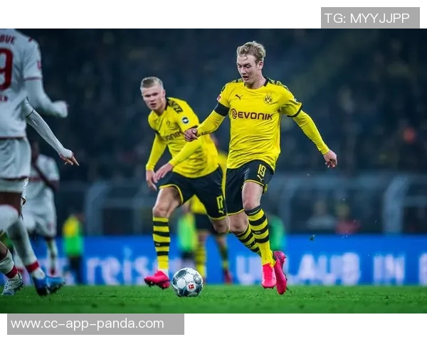 布兰特谈南部球队影响赛季表现多特有潜力待挖掘